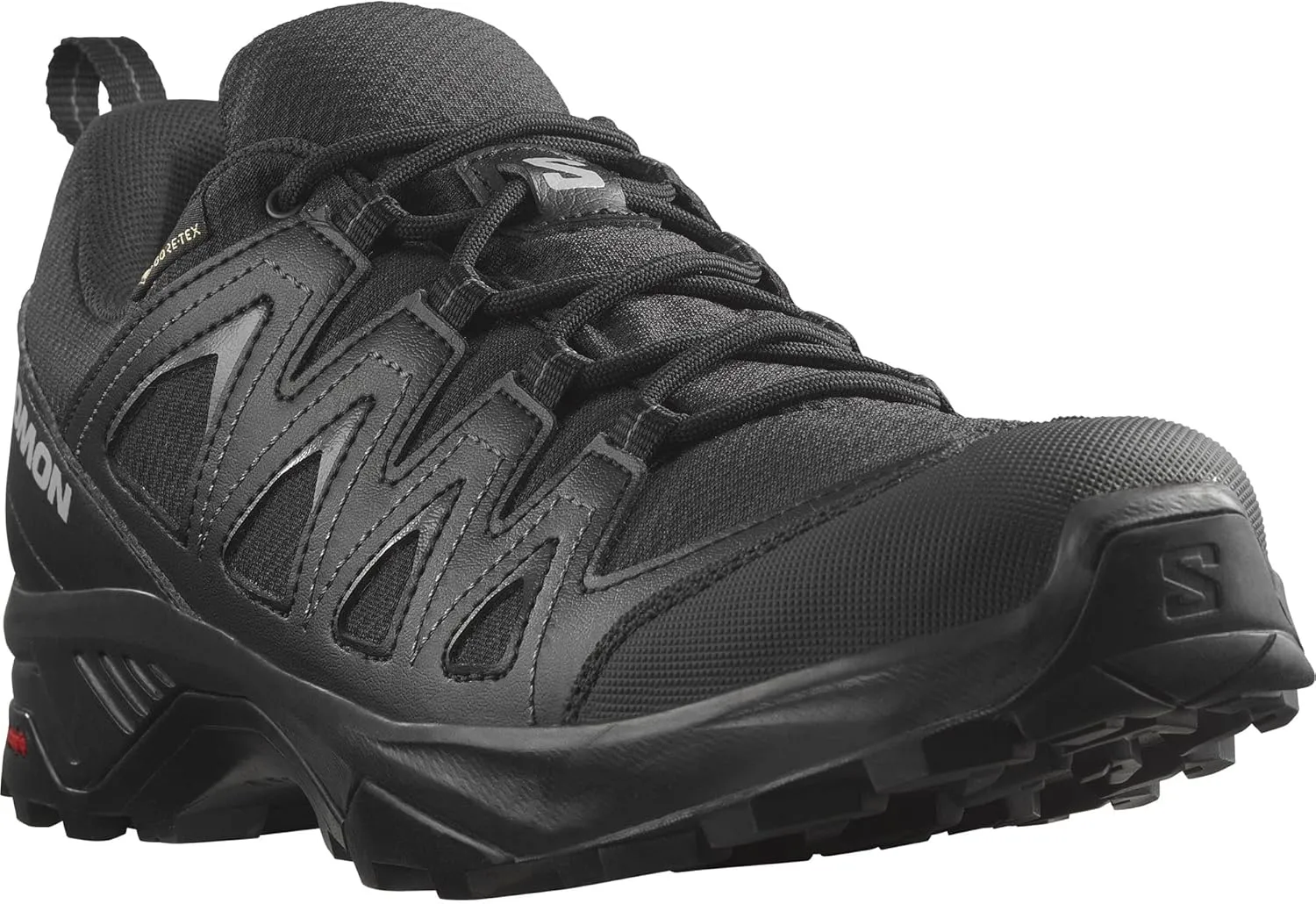 Salomon Men's X Braze GTX Hiking Shoe